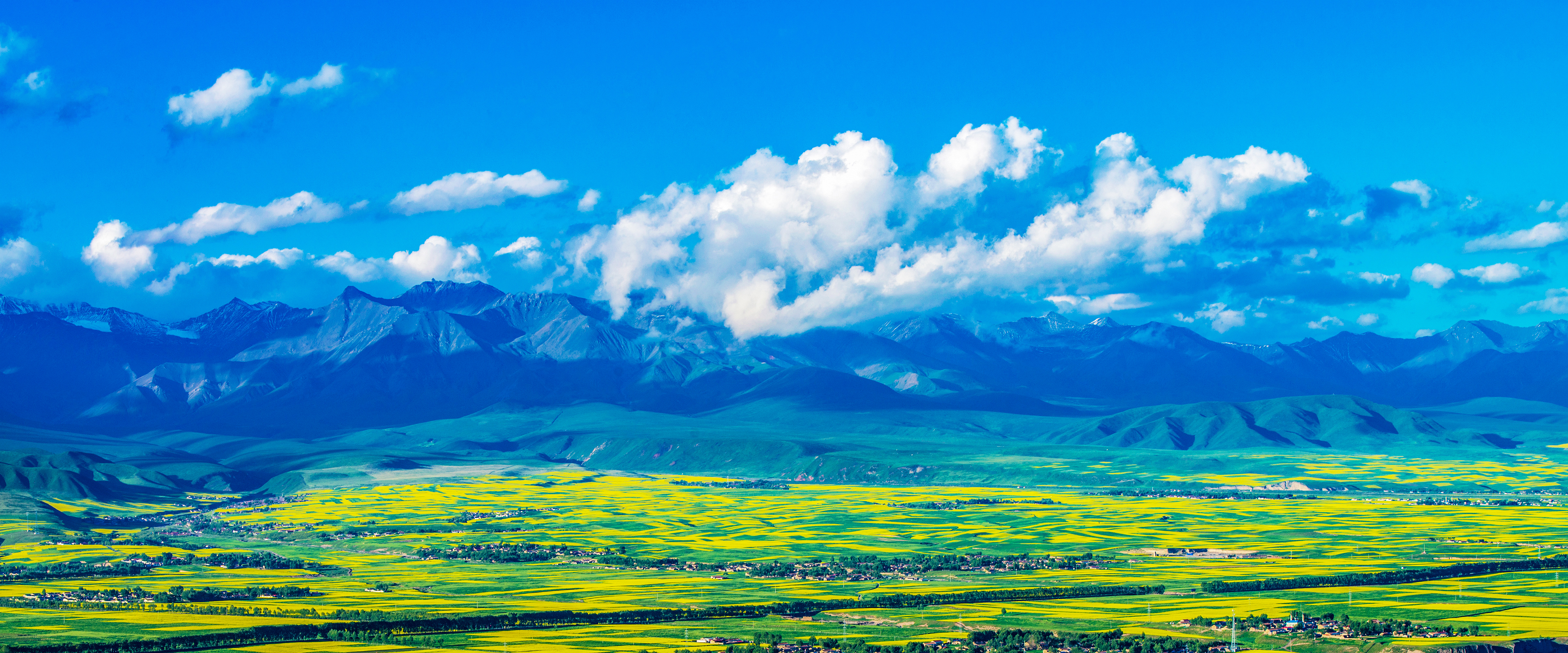 生態風景